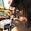 Hotel Belfer