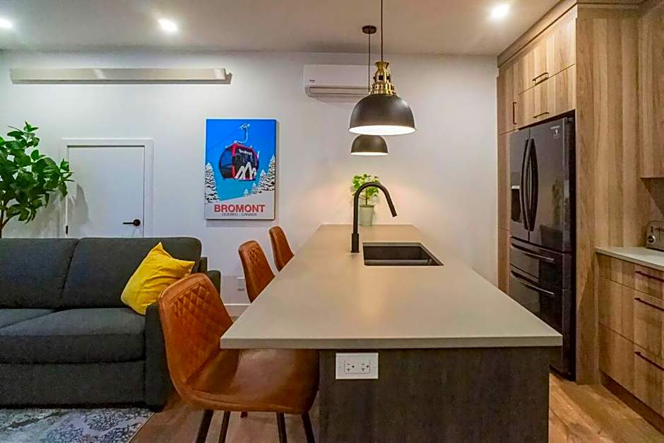 883 suite 102 Bromont Vieux Village 2cac , foyer