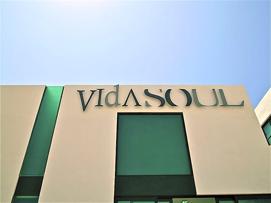 Vidasoul