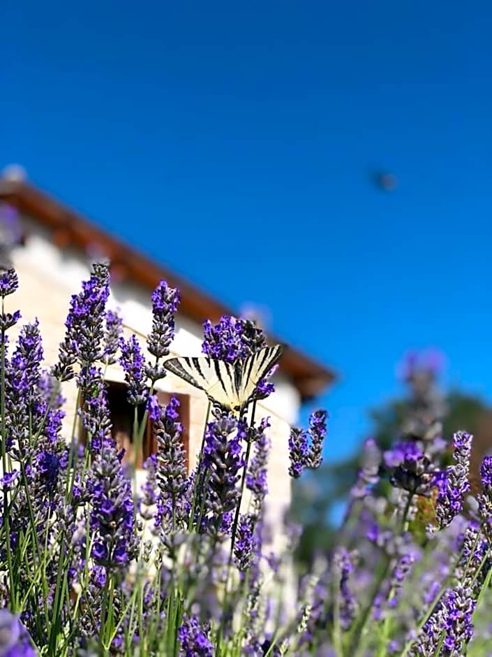 Country House Antiche Dimore