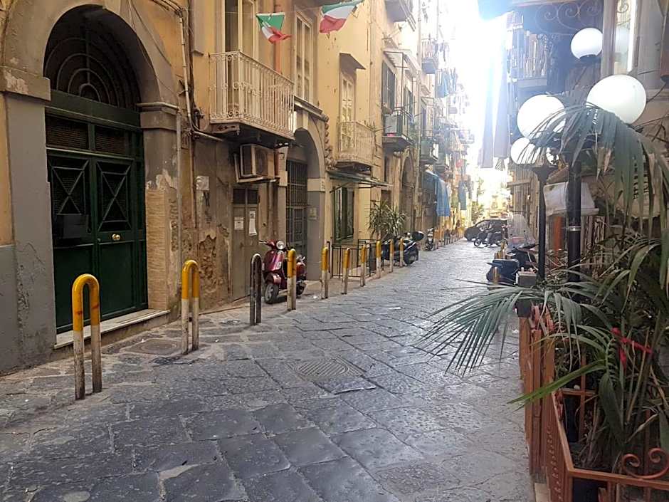 B&B Belvedere Partenopeo