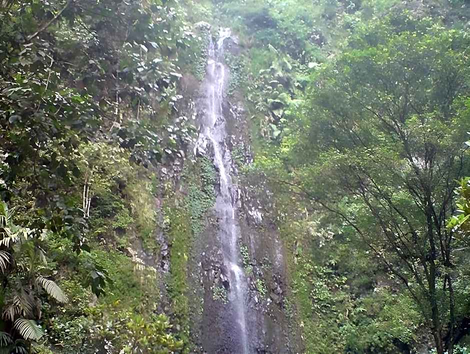 Richard Villa Yogyakarta