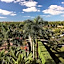 The Ritz-Carlton Naples, Tiburón