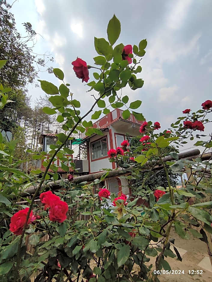 Mount Paradise Nature Stay
