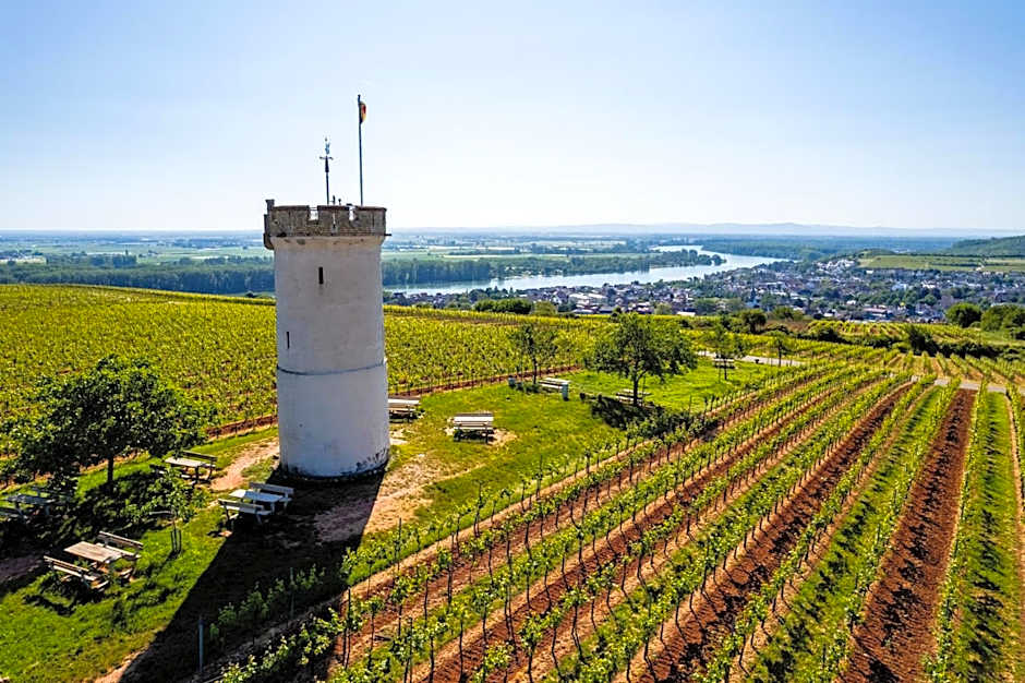 Best Western Wein-Und Parkhotel Nierstein