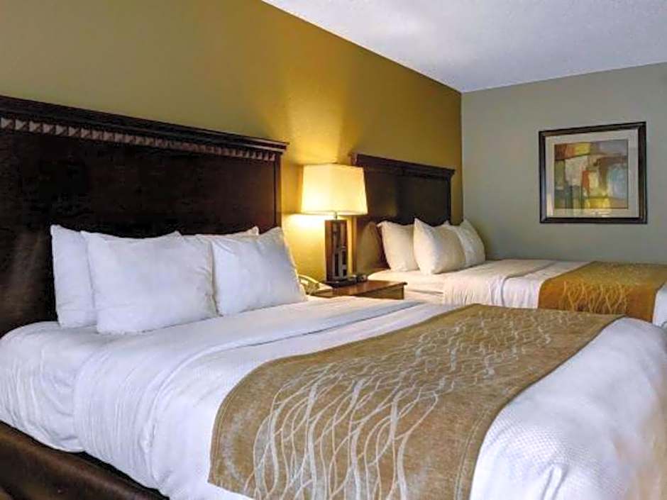 Comfort Inn & Suites Hot Springs Midtown