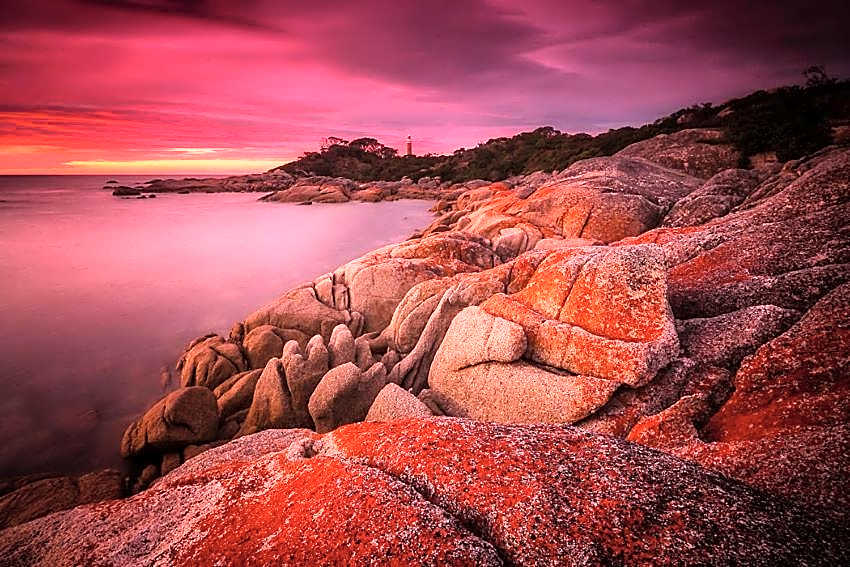 Georges Bay Apartments