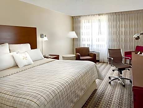 Executive Suite Sea View