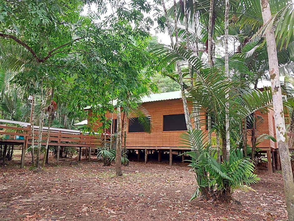 Seringal jungle Lodge