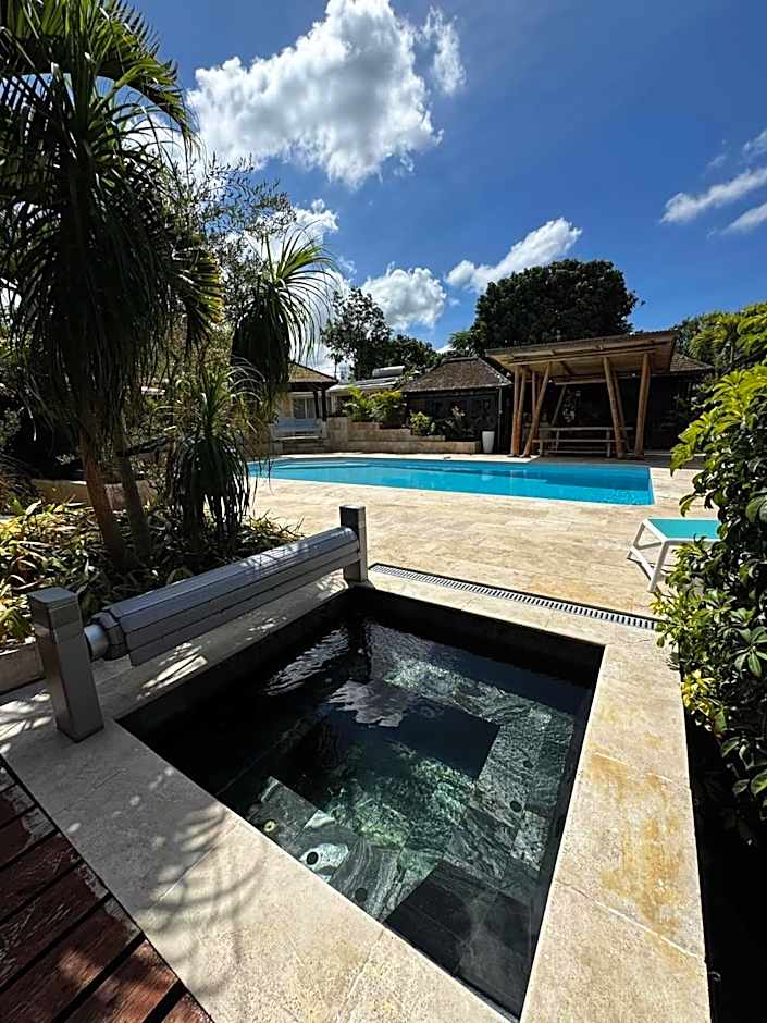 Lotus Garden - Île de la Réunion