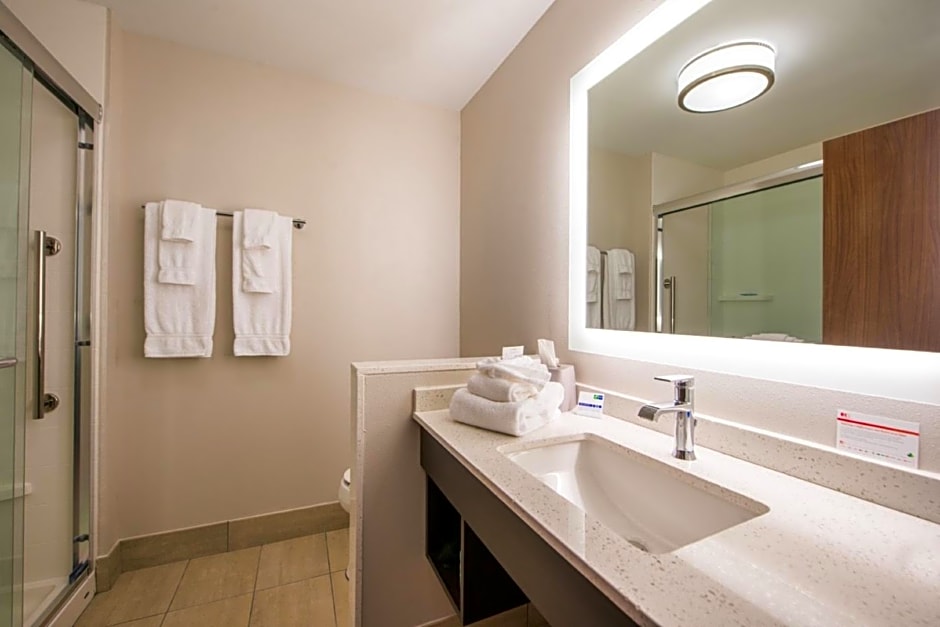 Holiday Inn Express & Suites Tampa North - Wesley Chapel