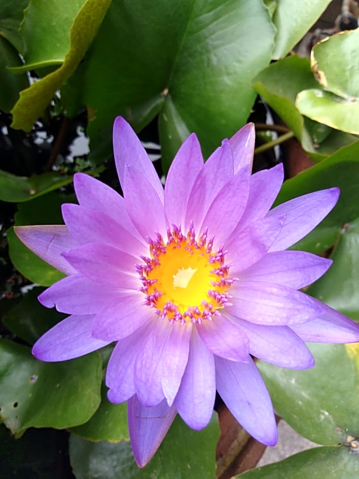 B&B View Talay 1B Residence by Dao