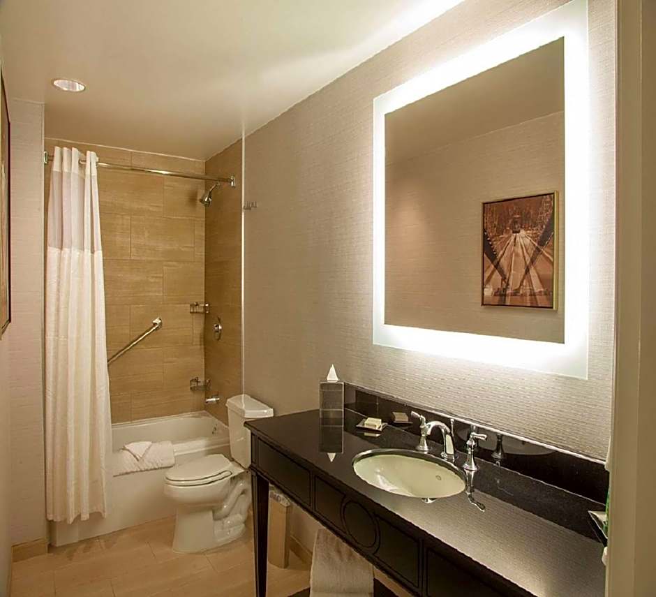 Hilton New Orleans/St. Charles Ave. French Quarter Area