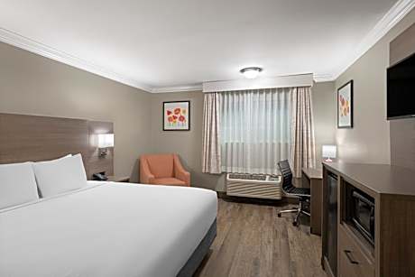 King Room - Non-Smoking