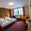 Hotel Erika