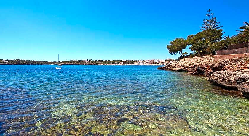 Apartamentos Niu D Aus