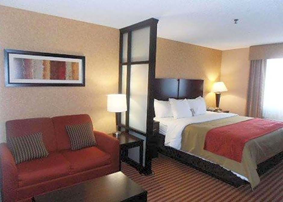 Foto 1 di 4 di 1 King Bed, Accessible