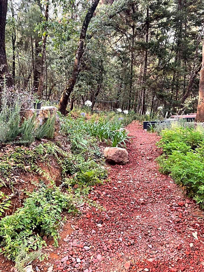 Hotel Oxú Solo adultos