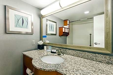 1 King Mobility/Hearing Access Ri Shwr Ste Ns