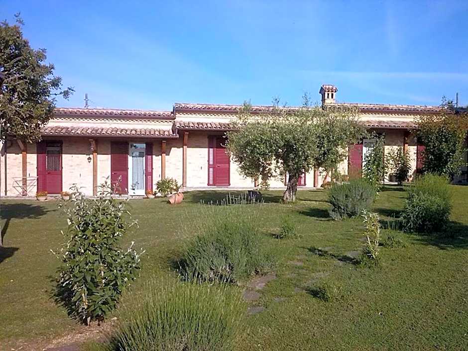 main