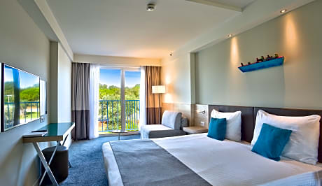 superior room 1 adult