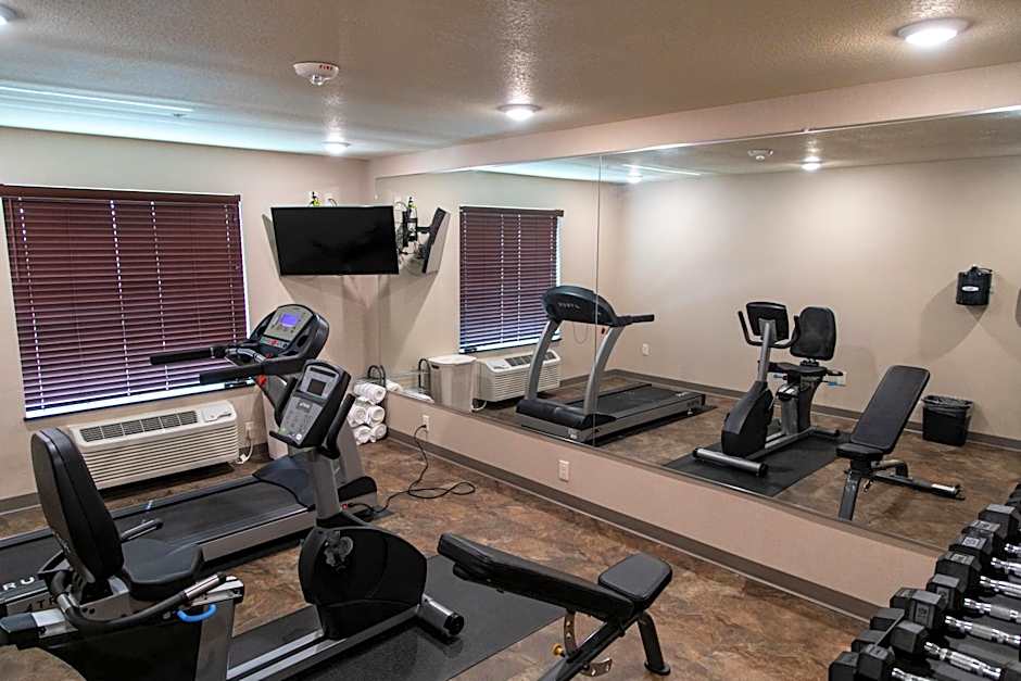 Cobblestone Inn & Suites - Springfield