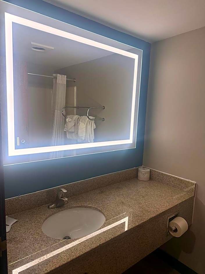 Quality Inn & Suites Detroit Metro Airport