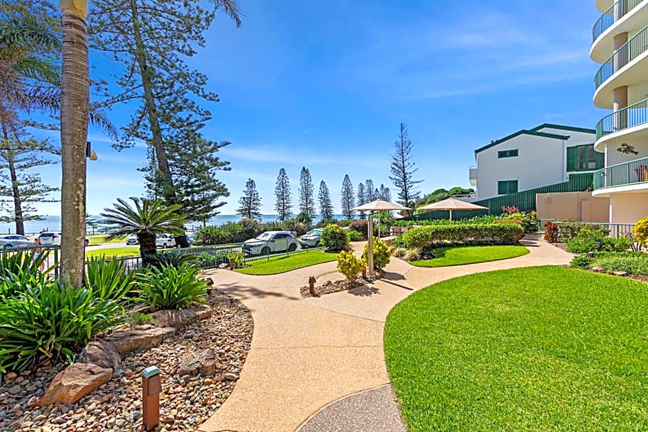 The Norfolks on Moffat Beach