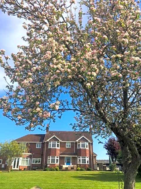 The Moorhead Bed & Breakfast