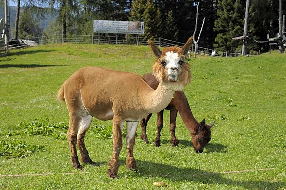 Kinder- und Familienhotel Nockalm