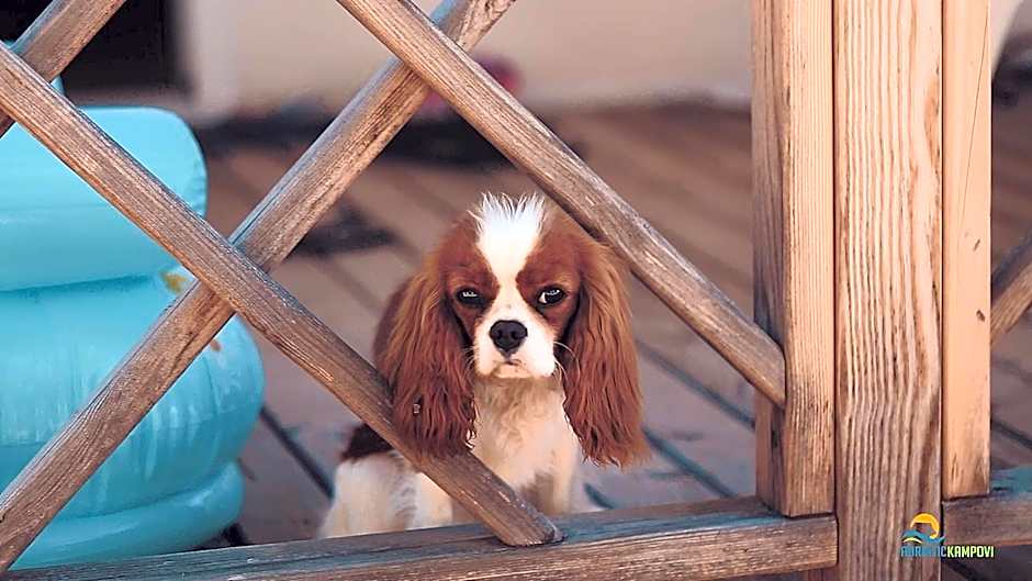 Mobile Homes Camp Perna - Adriatic Kampovi