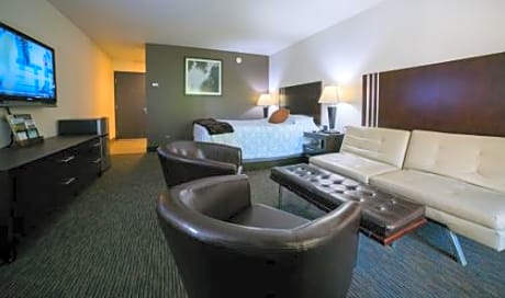 Studio - Disability Access