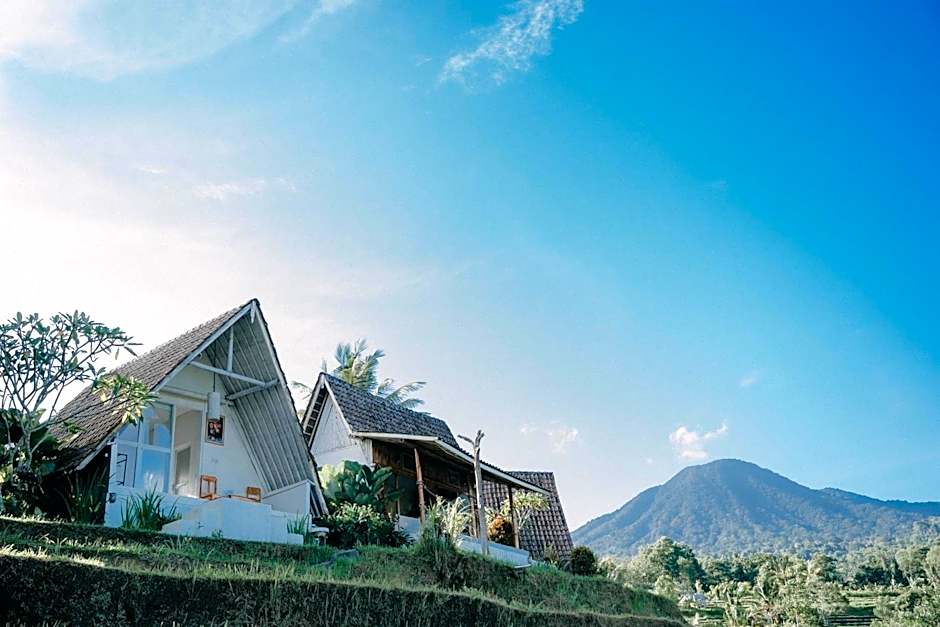 Padi Bali Jatiluwih
