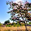 Le Jardin de Rose 24 FEUILLEBERT Romagne 86700