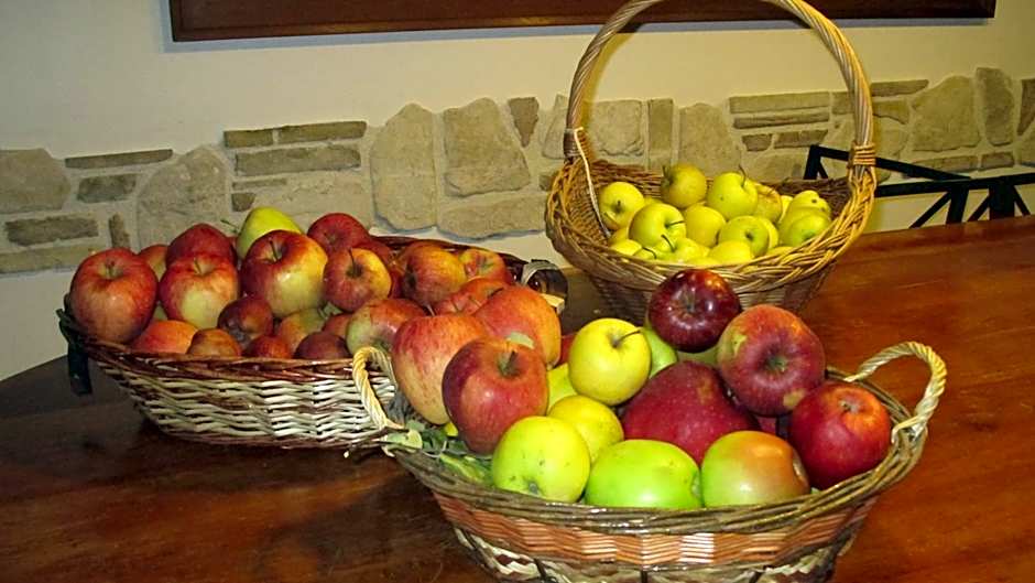 Il rifugio nel parco