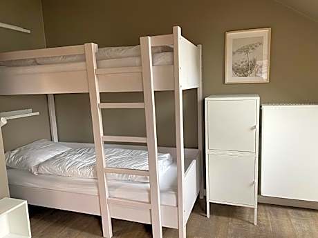 Single Bed in 4-Bed Dormitory Room