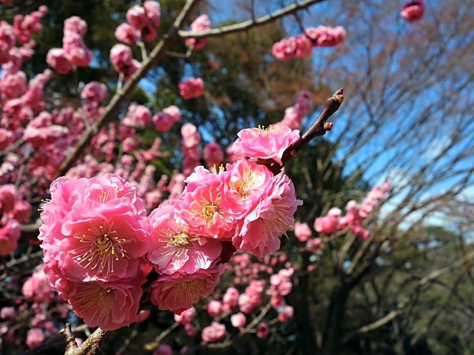 Apa Villa Hotel Kyoto-Ekimae