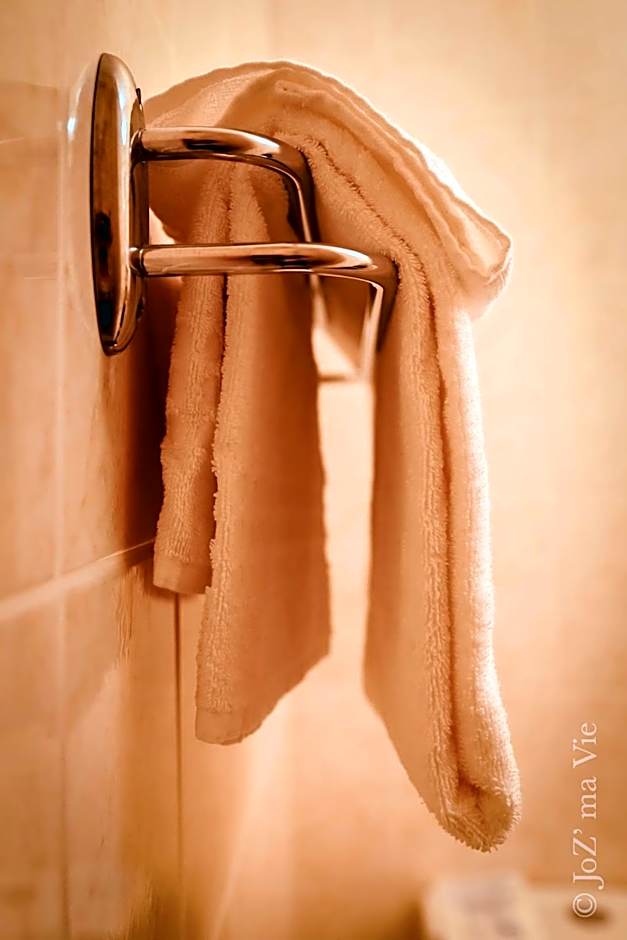 Grand Hotel De La Poste - Lyon Sud - Vienne