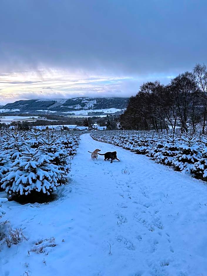 Kinnaird Woodland Lodges