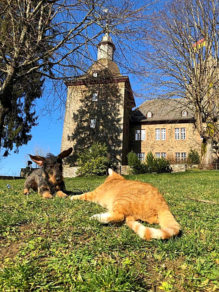 Hotel und Restaurant Burg Schnellenberg