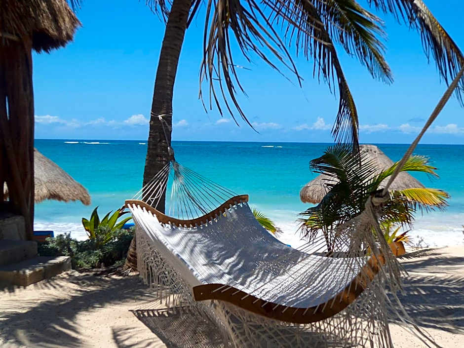 Sol Caribe