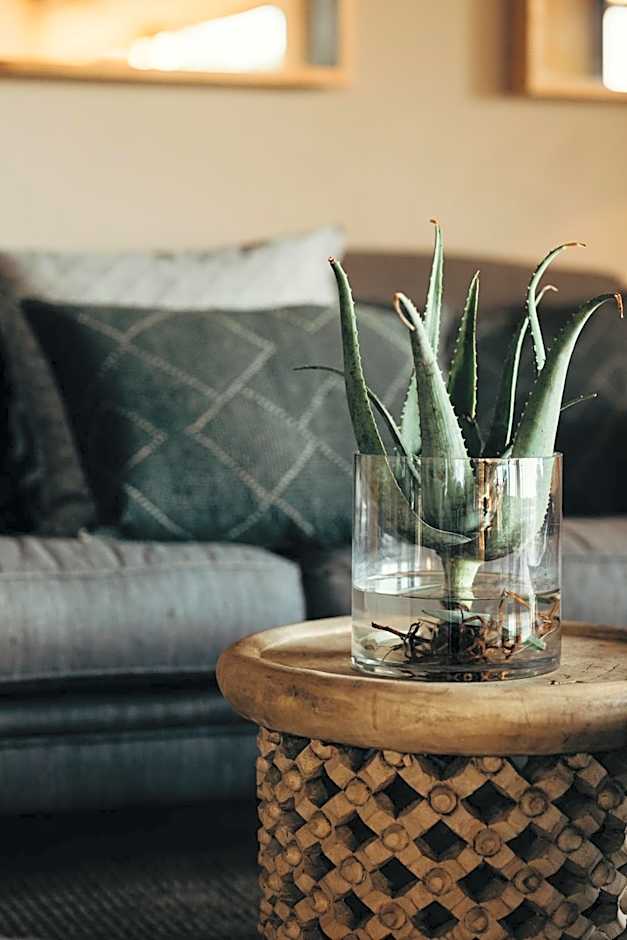 Bukela Game Lodge - Amakhala Game Reserve