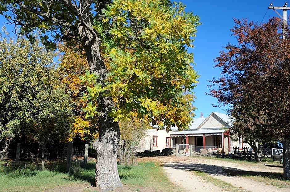 Peter's Farm Lodge
