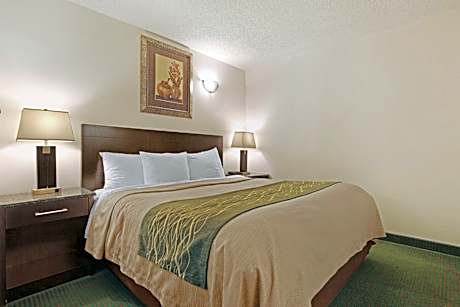 Queen Room - Non-Smoking