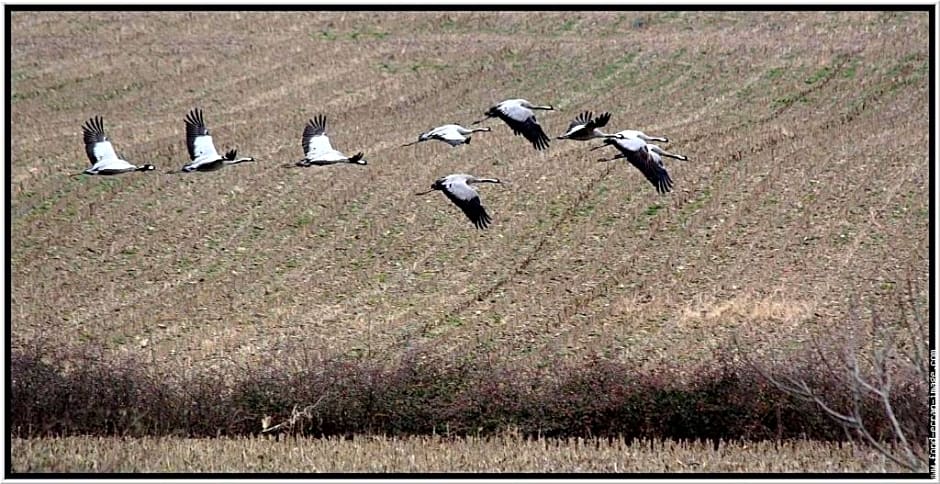 Chambres d'hôtes Le Gilliard