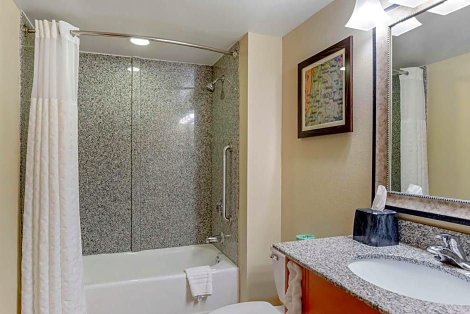 Comfort Suites At Virginia Center Commons