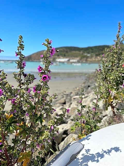 The Vicarage Boutique Bed and Breakfast Oamaru