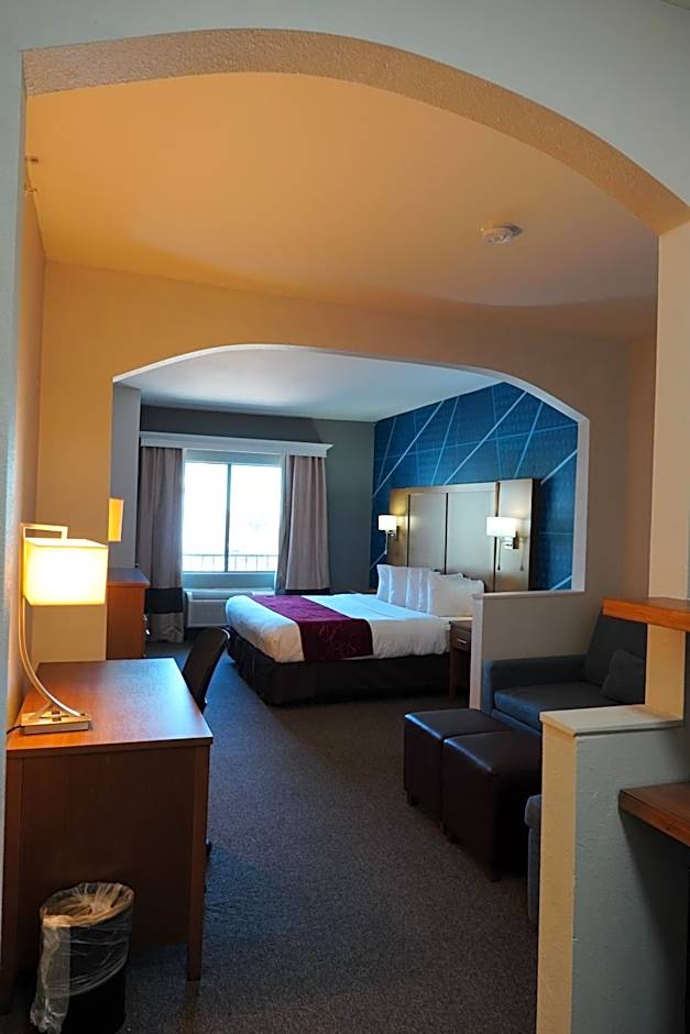 Comfort Suites Bush Intercontinental Airport