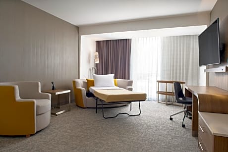Suite, 1 King Bed, Non Smoking,City View