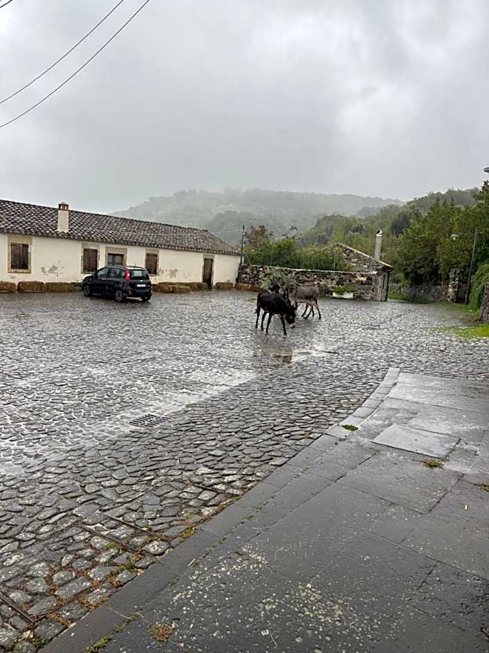 Rebeccu Arte e Ospitalità - Ostello